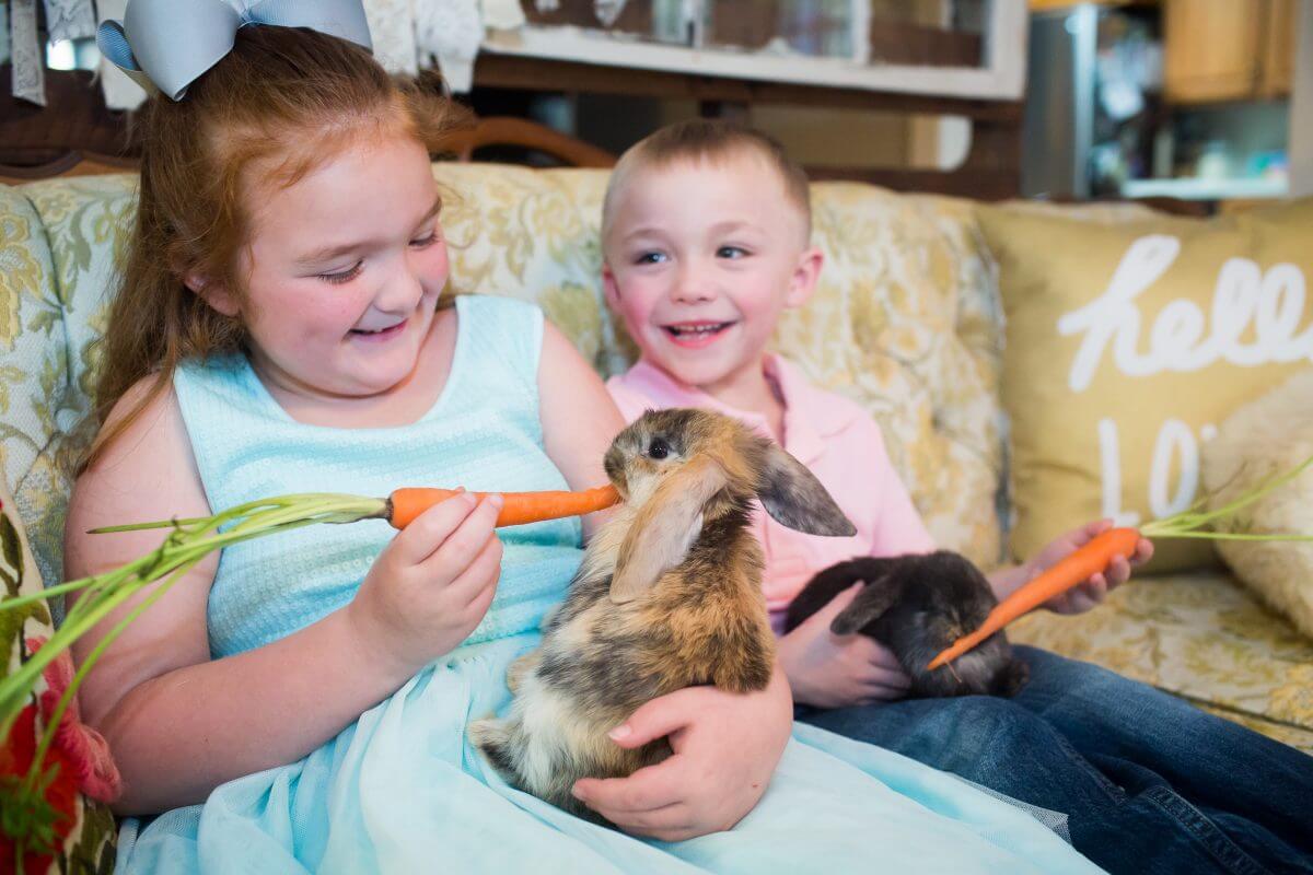 Young girl in blue dress and young boy in pink shirt feed carrots to rabbits for Easter photo session
