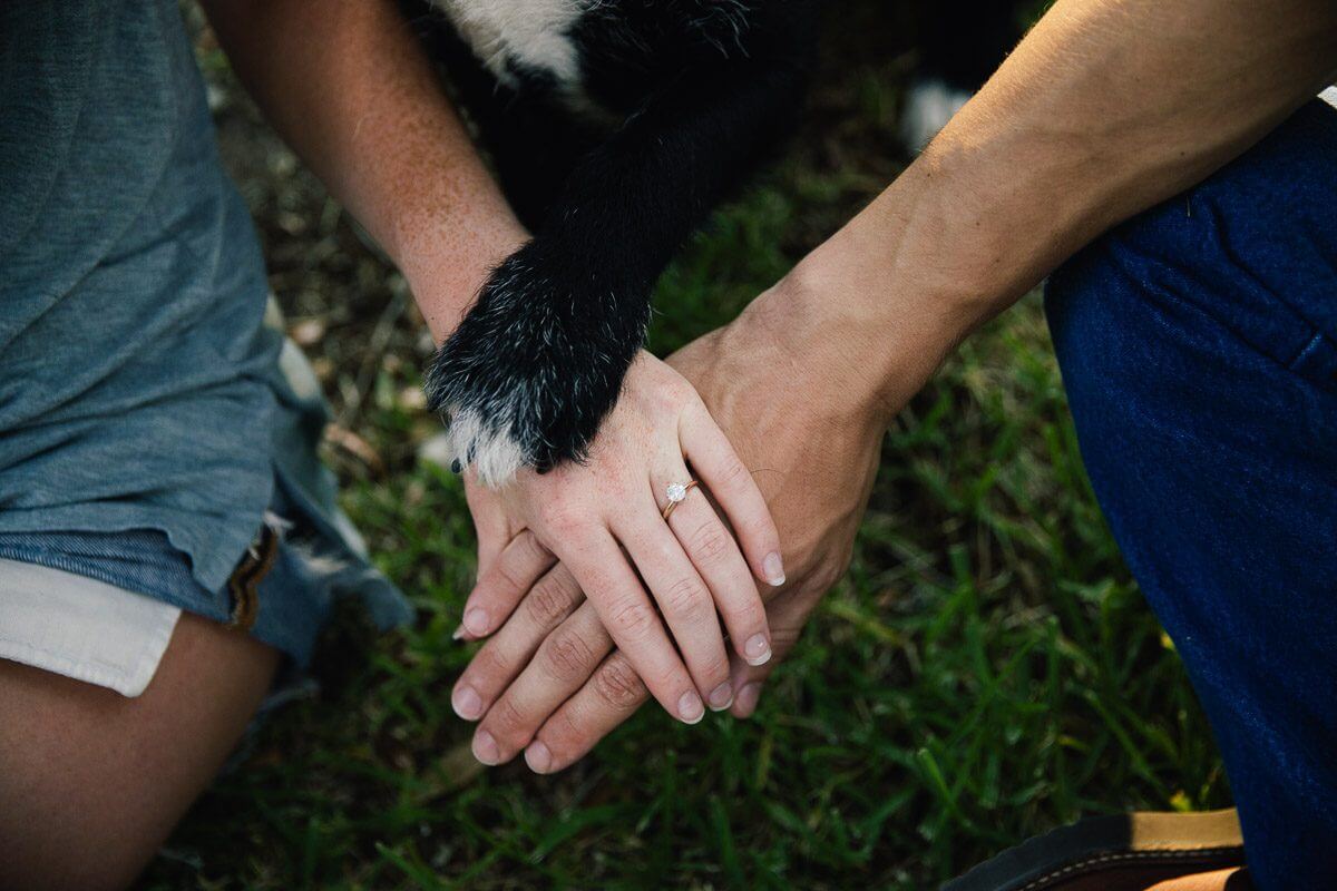 woman's hand with engagement ring resting on top of her fiance's hand and their dog's paw on top of both hands